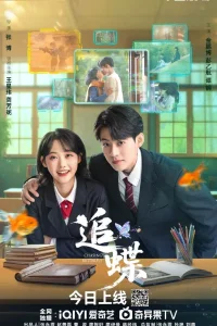 В погоне за бабочкой