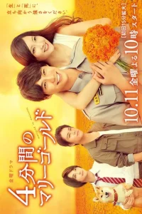 4 минуты бархатцев