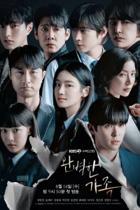 Идеальная семья