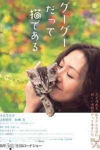 Кот по имени Гу-Гу