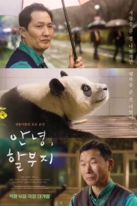 Мой друг панда